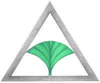 Logo Gingko.Systeme
